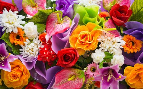 Flower Images .